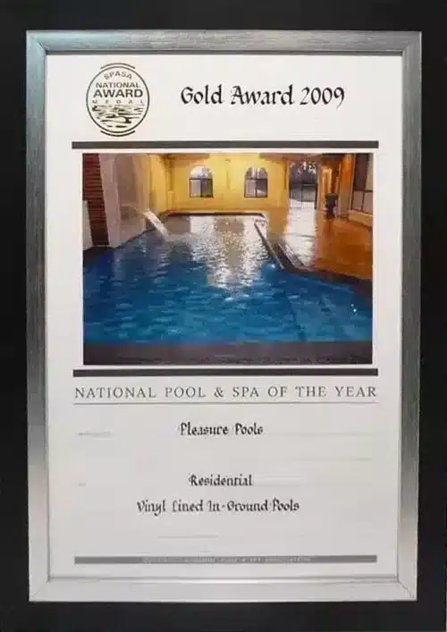Gold Award 2009